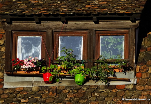 17-06-19-strasbourg-zentrum-muenster- 19.06.2017 07-02-36