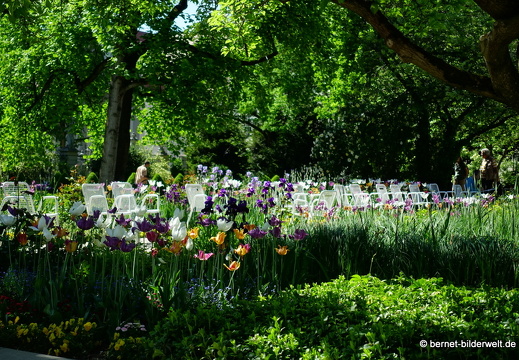 18-05-07-augsburg-hofgarten-064