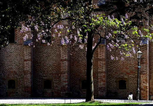 18-05-07-augsburg-hohe domkirche-008