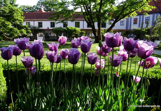18-05-09-augsburg-hofgarten-003