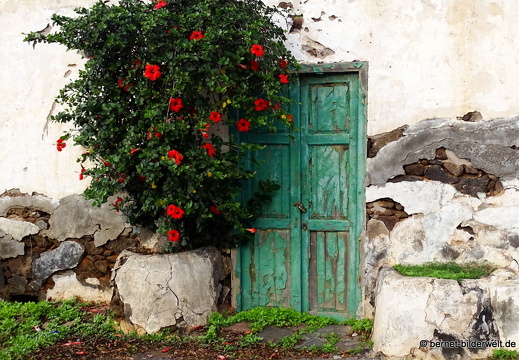 18-11-17-tahiche-037