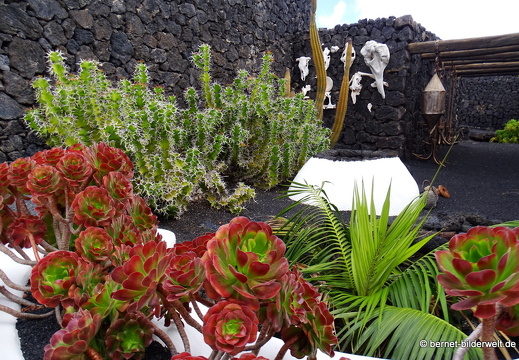 18-11-20-tahiche-fundation-cm-017