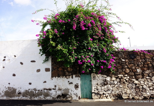 18-11-21-tahiche-269