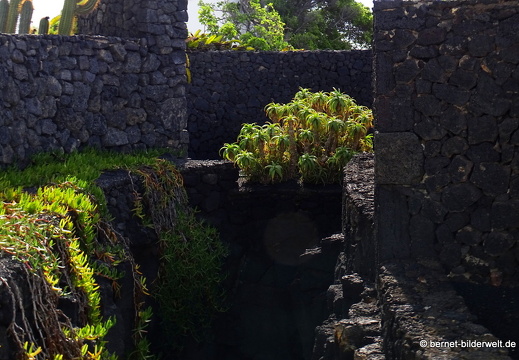 18-11-21-tahiche-fundation-cm-059