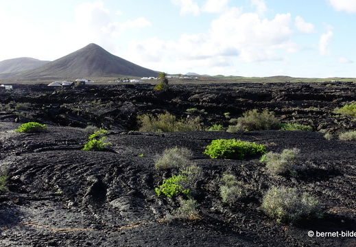 18-11-23-tahiche-096