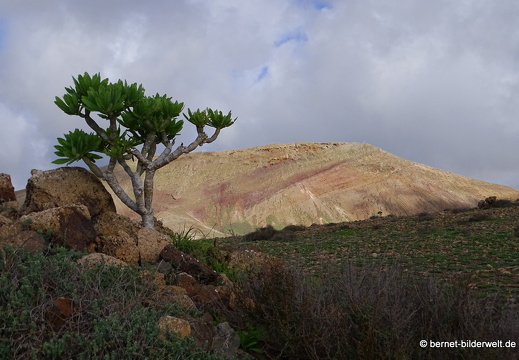 18-11-25-tahiche-umgebung-065