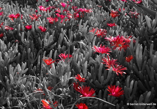 18-11-25-tahiche-umgebung-151