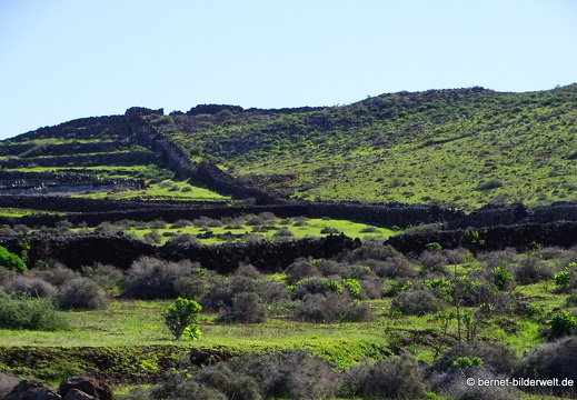 18-12-04-tahiche-004