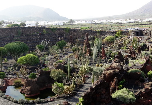 18-12-07-guatiza-kaktusgarten-122