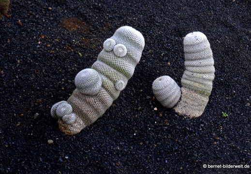 18-12-07-guatiza-kaktusgarten-172