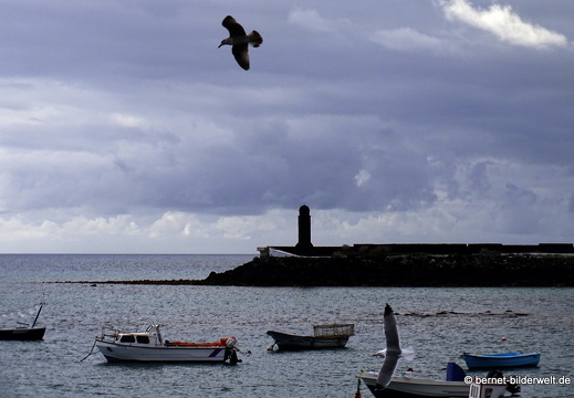 18-11-26-arrecife-093