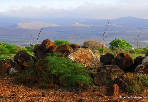 18-12-03-teseguite nach teguise-045