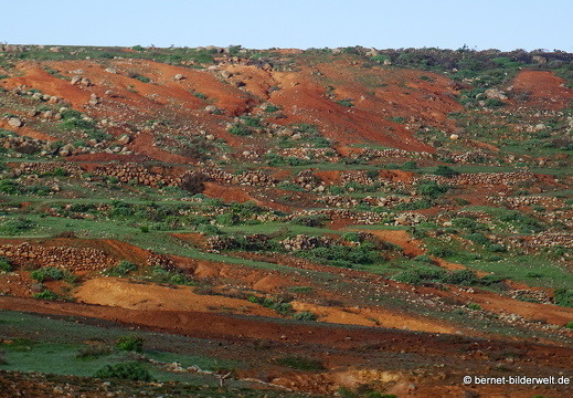 18-12-03-teseguite nach teguise-073
