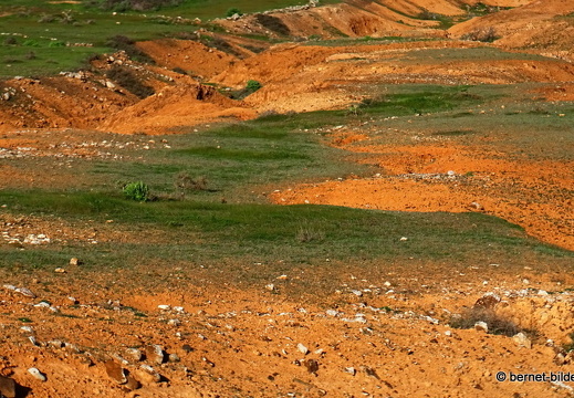 18-12-06-teseguite nach teguise-134