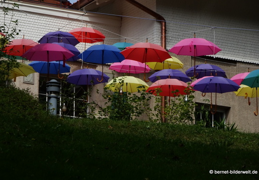 19-09-12-bad-wildbad-kurpark-041