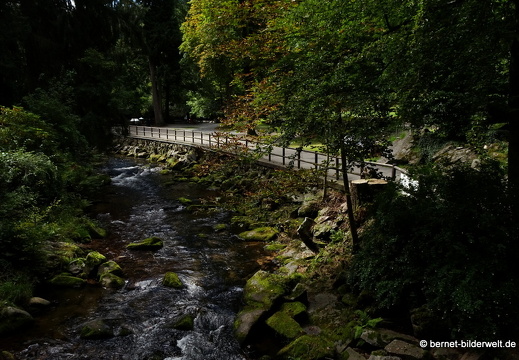 19-09-12-bad-wildbad-kurpark-026