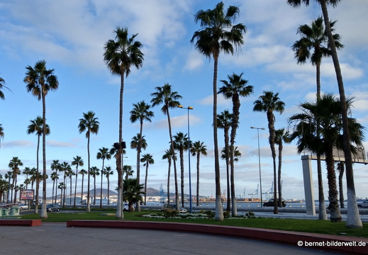 19-02-09-las palmas-014