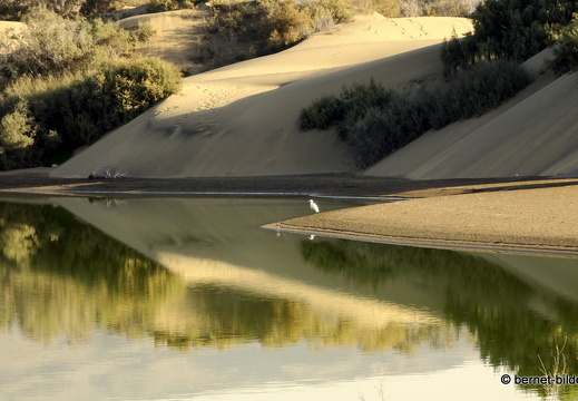 19-02-14-maspalomas-la charca-see-045