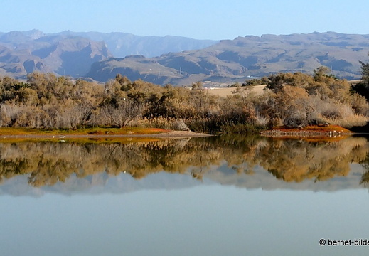 19-02-14-maspalomas-la charca-see-057