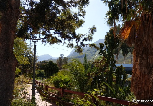 19-02-21-agaete-hafen-014