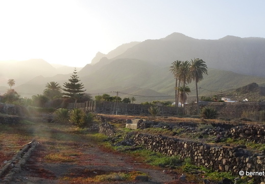 19-02-22-agaete-las salinas-064