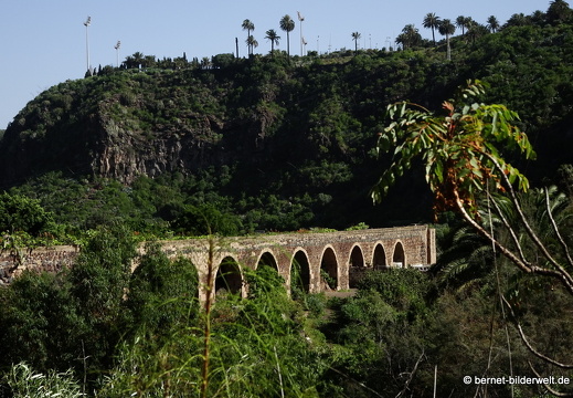 19-02-05-jardin canario-202