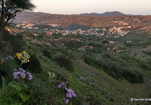 19-02-12-bandama-026