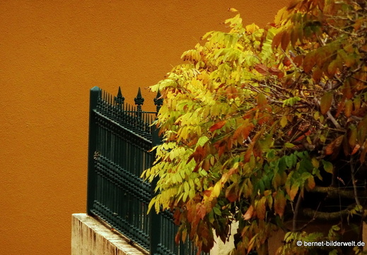 19-02-03-san mateo-070