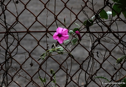 19-02-03-san mateo-252