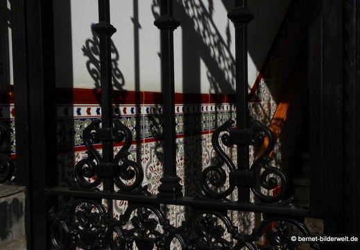 19-02-06-san mateo-025