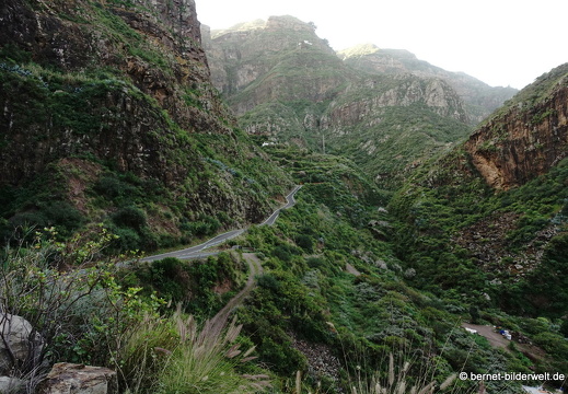 19-02-23-los berrazales-el valle-022