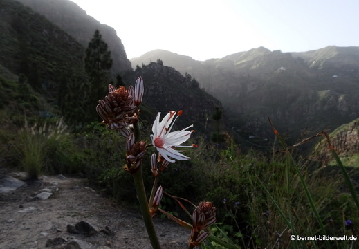 19-02-23-los berrazales-el valle-025