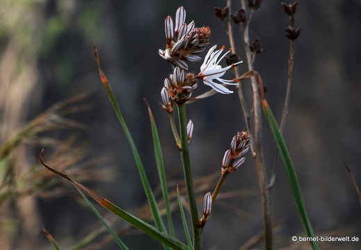 19-02-23-los berrazales-el valle-024