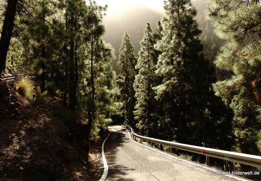 19-02-23-los berrazales-el valle-027