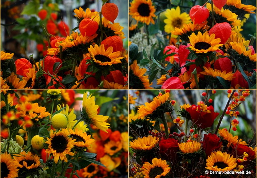 19-09-27-konstanz-mainau-collage-007