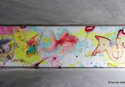 19-09-24-konstanz-altstadt-graffito-001