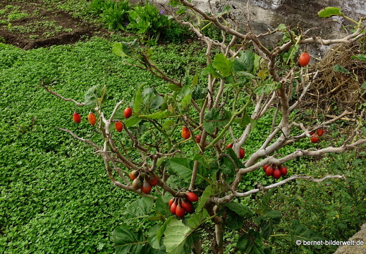 19-11-21-fuentcaliente-046