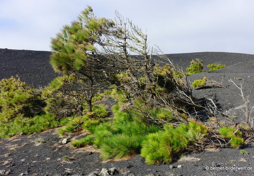 19-11-21-fuentcaliente-019