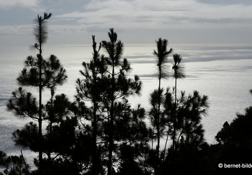 19-11-21-fuentcaliente-070