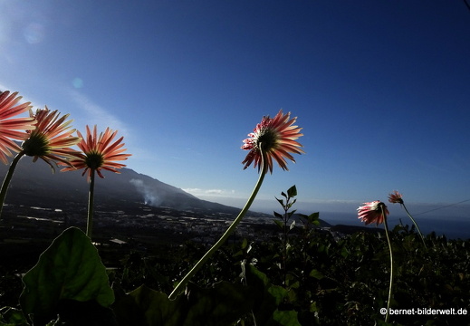 Mirador de Cancelita