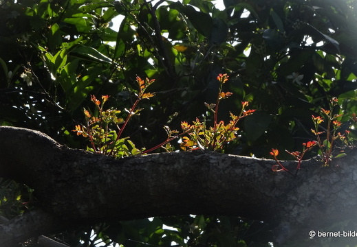 19-04-30-afandou-058