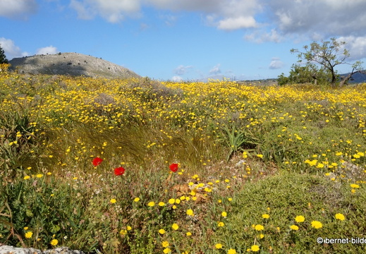 19-05-02-archangelos-190