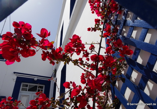 19-04-27-koskinou-231