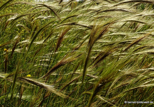 19-05-04-maritsa-064