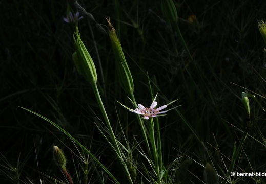 19-05-04-maritsa-057