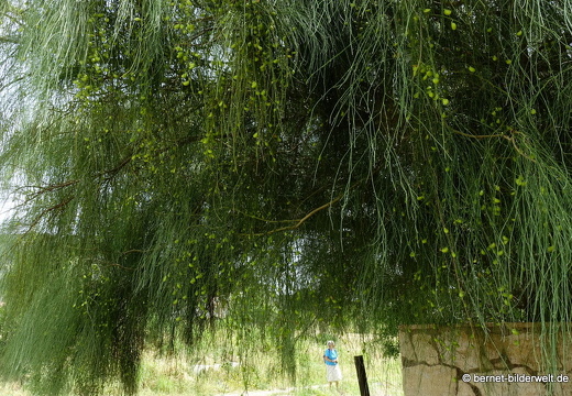 19-05-06-pastida-048