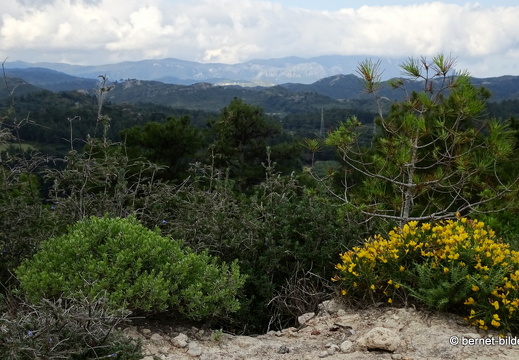 19-05-11-theologos-073