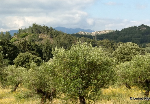 19-05-11-theologos-099