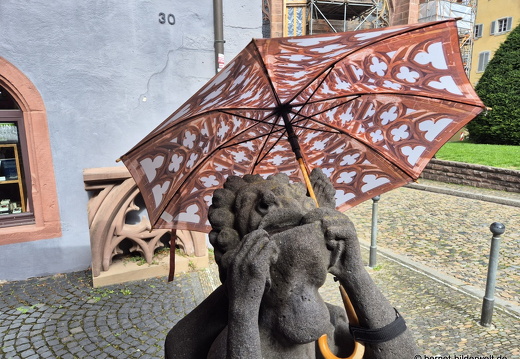 25-08-07-freiburg--034