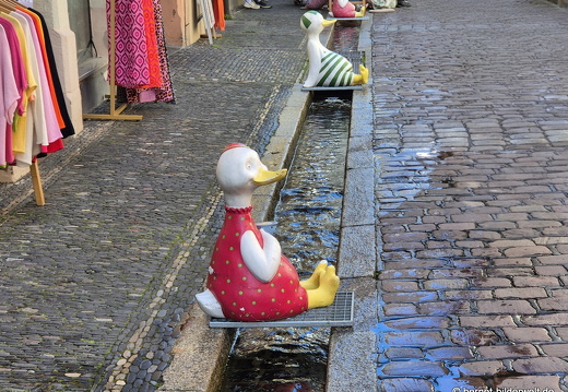 25-08-07-freiburg--baechle-010